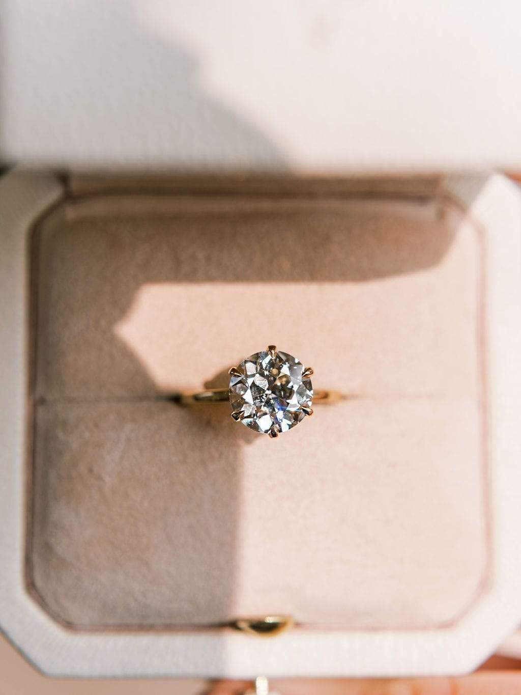 Uncategorized for sale