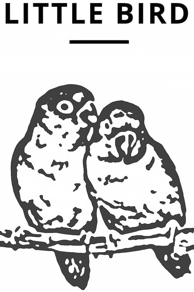 Keep your Proposal a Surprise with Little Bird Engagement Ring Consultants!