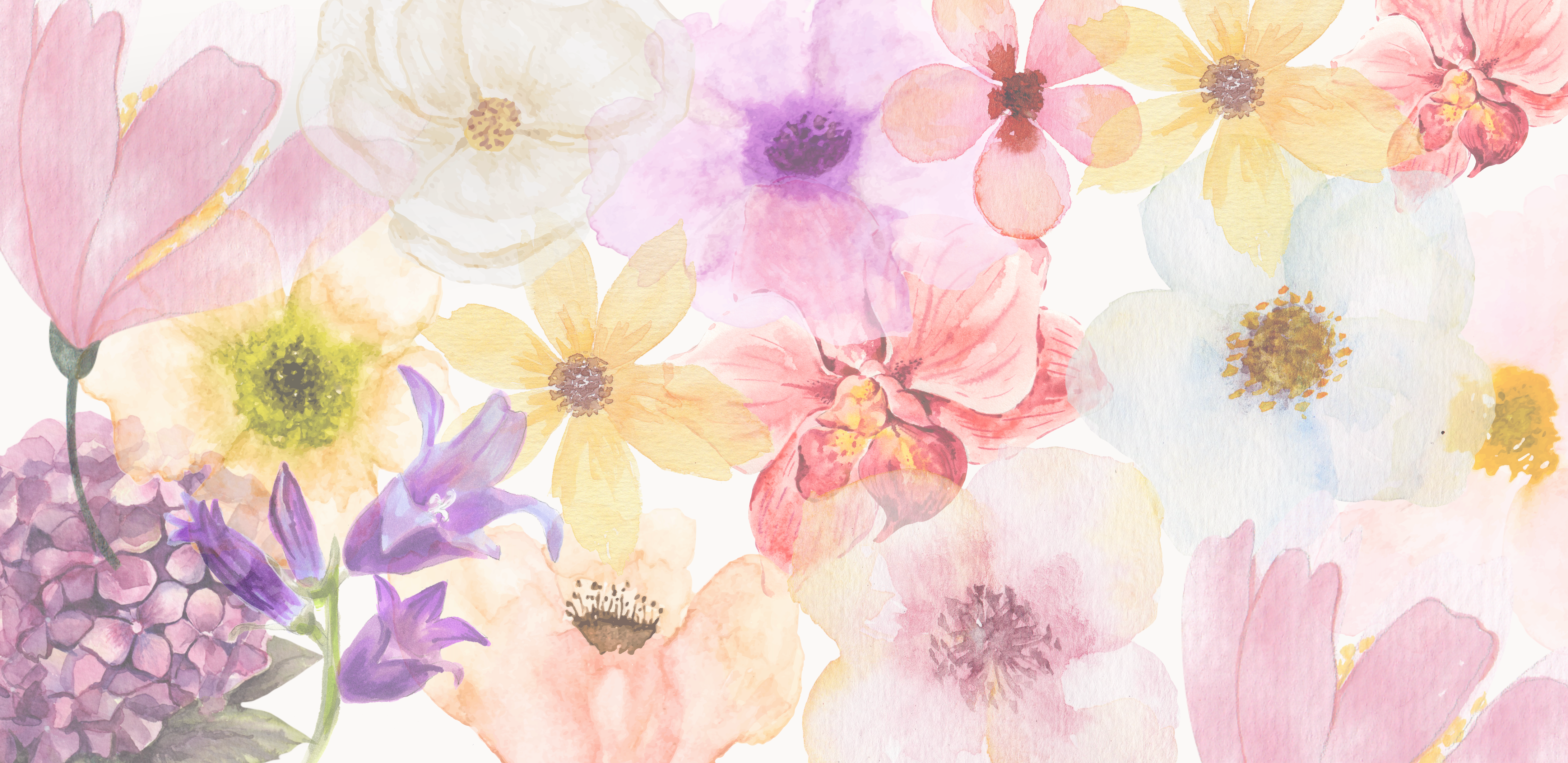 The Spring Blossom Collection