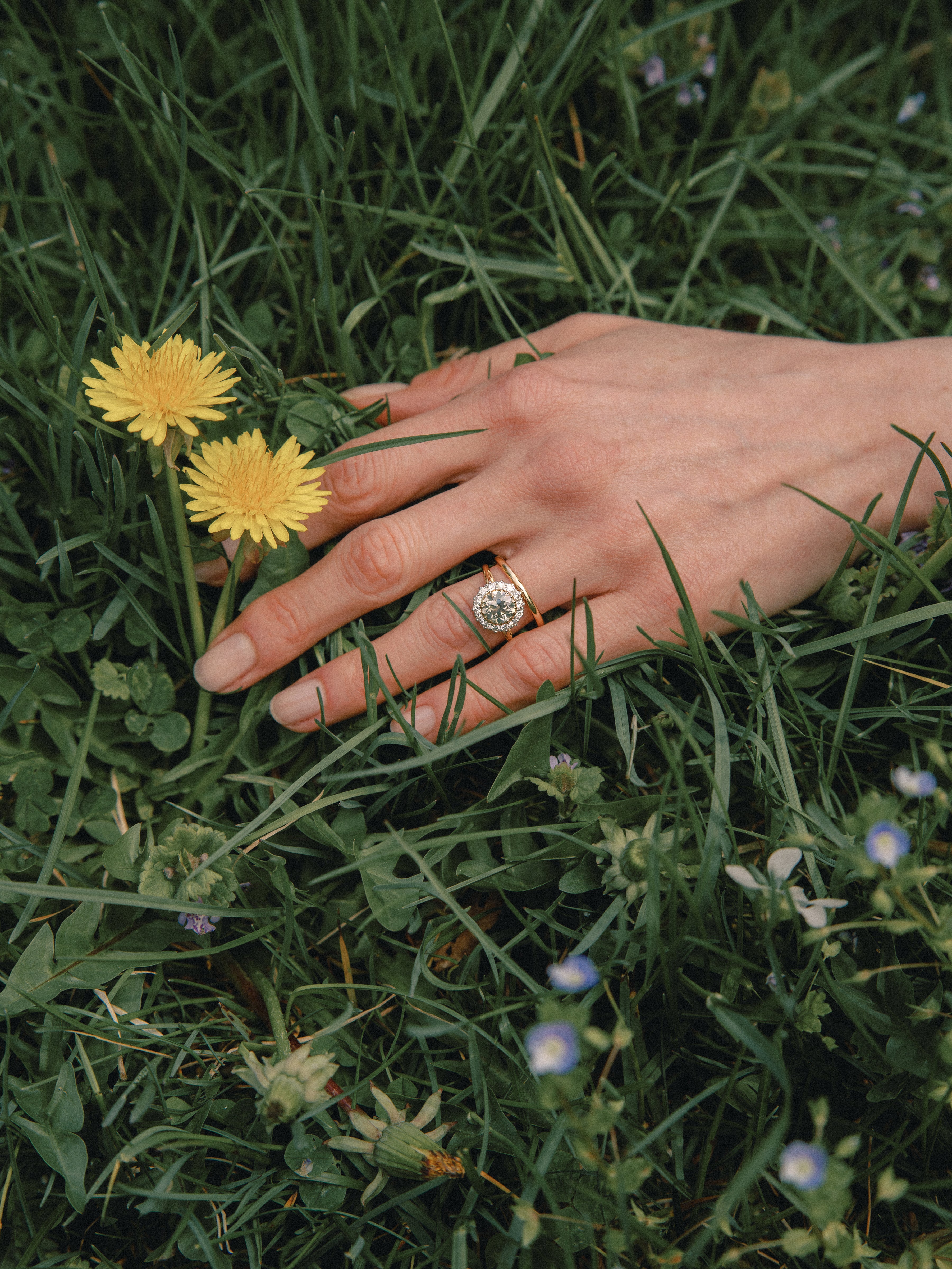 Transitional cut diamond Uncategorized