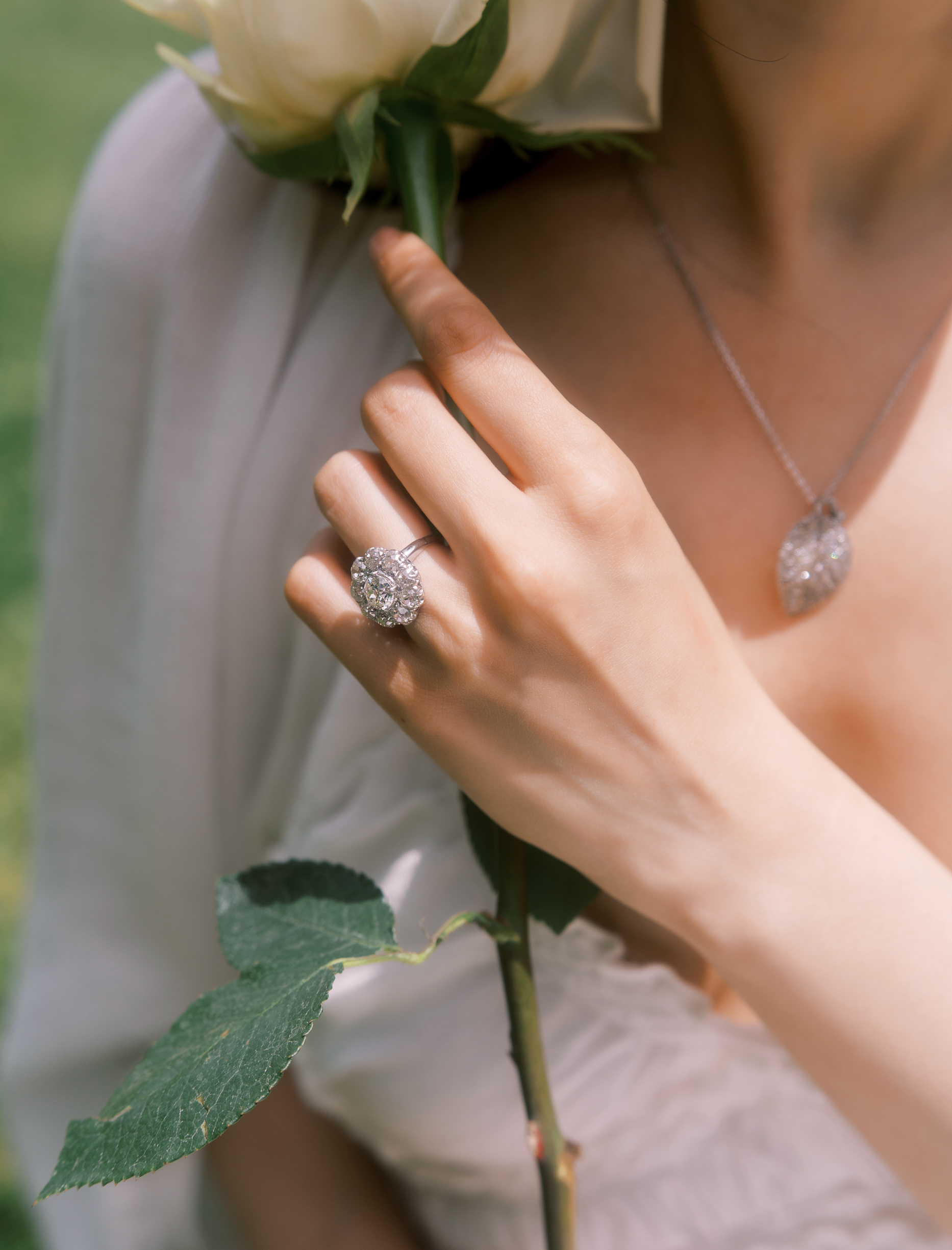 Transitional cut Uncategorized