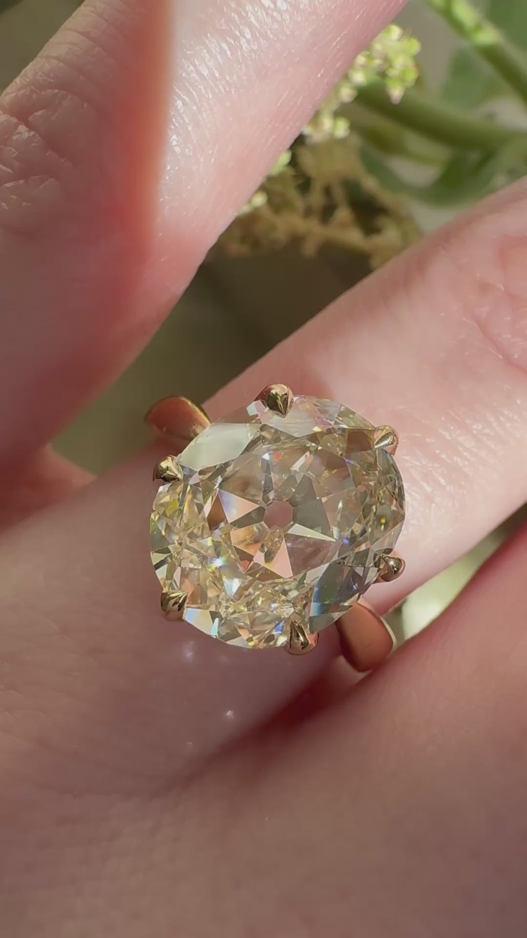 Solitaire Marquise/Oval cut diamond Rings