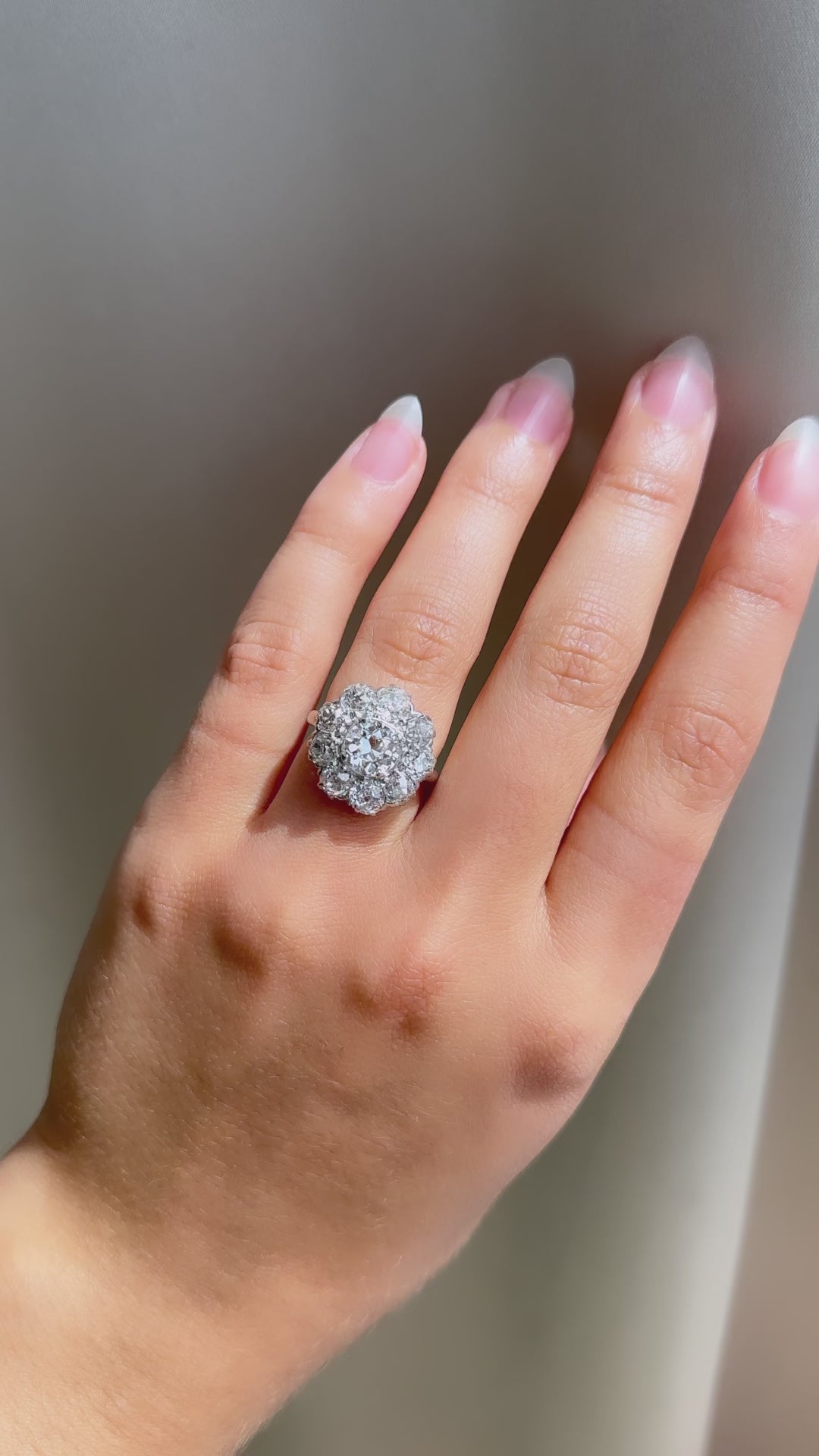 Transitional cut Uncategorized