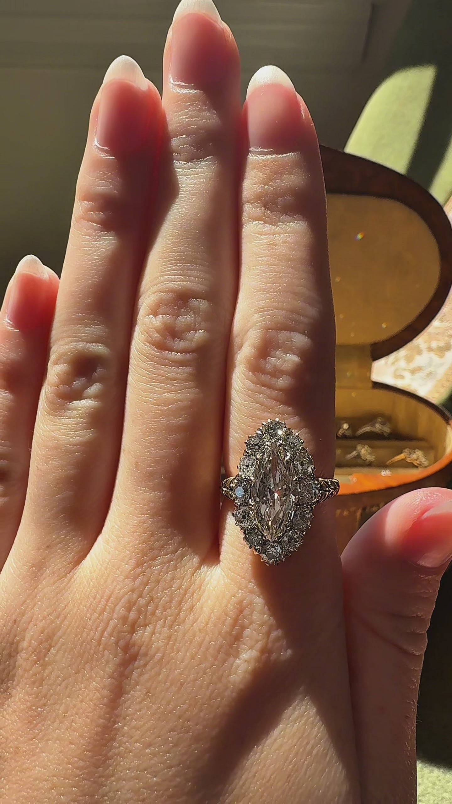 one-of-a-kind vintage Uncategorizeds by Andria Barbone 