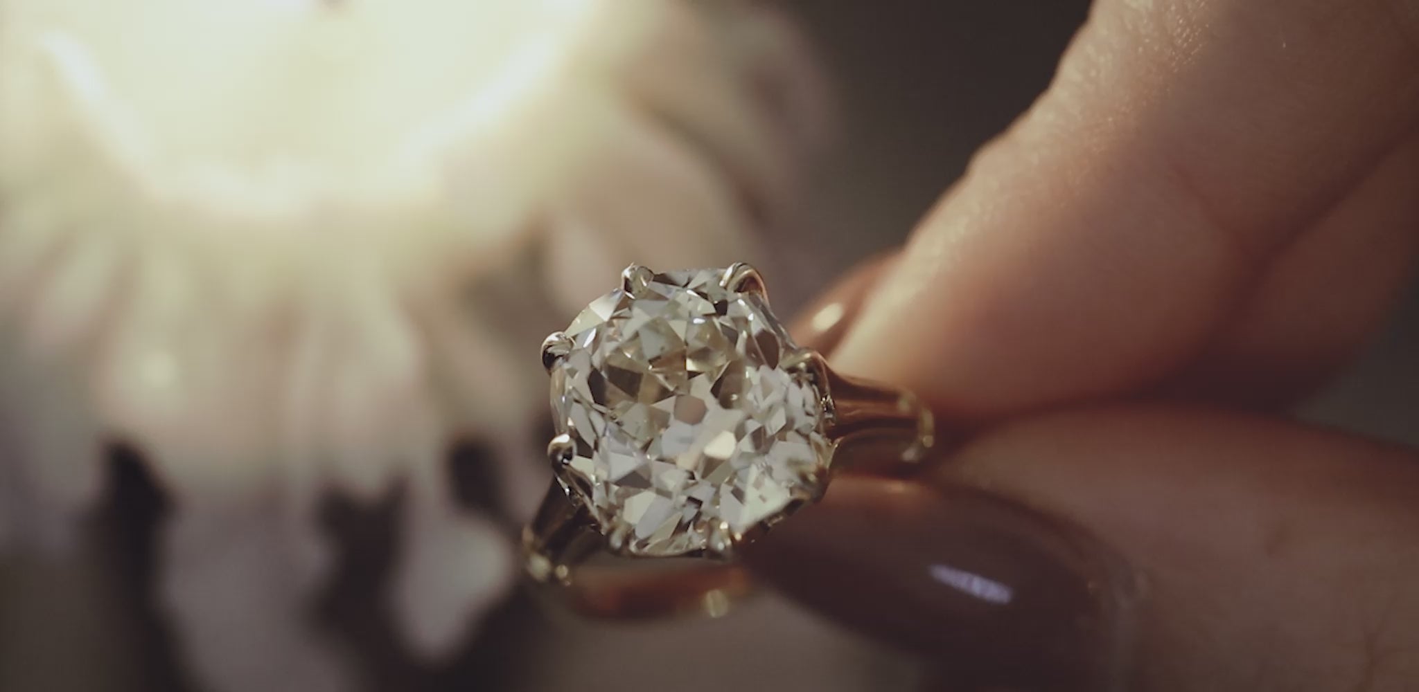 39c00dc71ee1456cbbb6c8b896301690