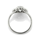 0.85ct old European cut diamond