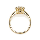Solitaire Ring in a 10-prong 18 karat Yellow Gold Setting