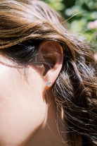 2.73ctw studs Earrings