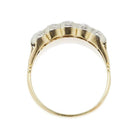 old European cut Band